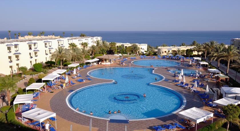 AA Grand Oasis 7