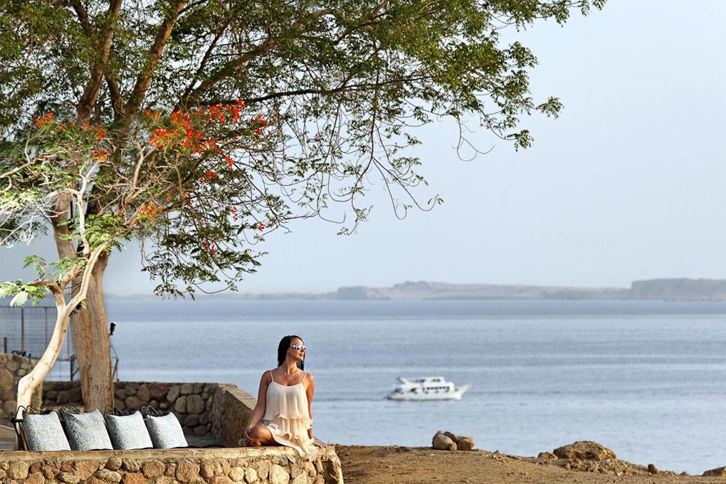 Beach Albatros Hotel Sharm 6