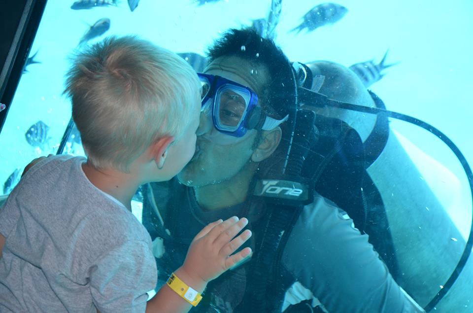 Sea Wolf Submarine 12